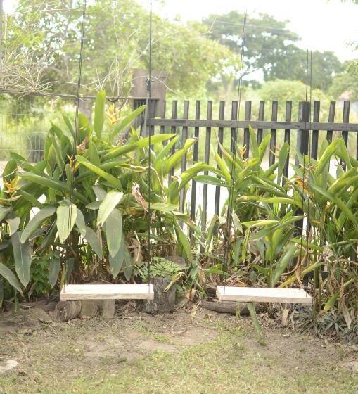 Alberg Espaço Sairé   Alter Do Chão