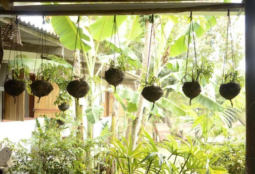 Schronisko Espaço Sairé Alter Do Chão