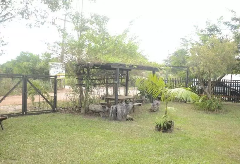 ユースホステル Espaço Sairé   Alter Do Chão