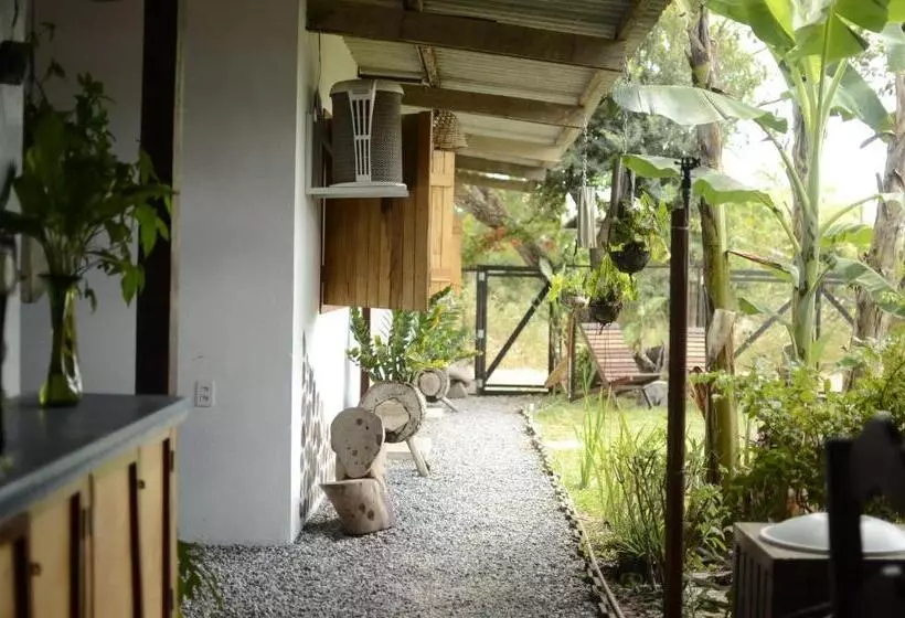 ユースホステル Espaço Sairé   Alter Do Chão
