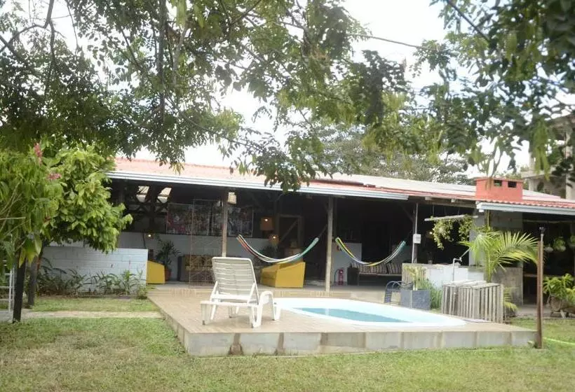 ユースホステル Espaço Sairé   Alter Do Chão
