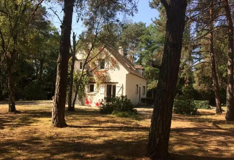 Aamiaismajoitus (B&B) Chambres Au Coeur Du Massif Des Trois Pignons