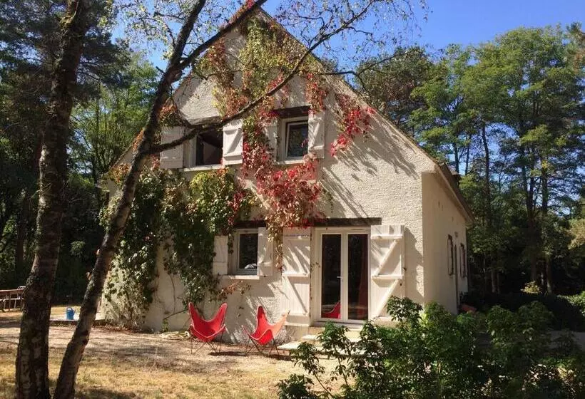 Aamiaismajoitus (B&B) Chambres Au Coeur Du Massif Des Trois Pignons