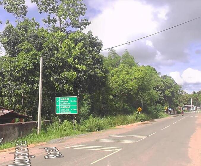 Aamiaismajoitus (B&B) Forest Villa Kandalama  Dambulla