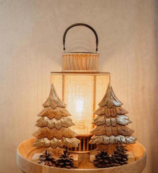 تختخواب و صبحانه Huize Schaberg