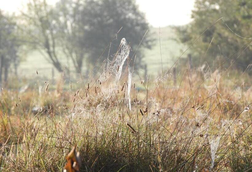 ベッドアンドブレックファースト ô Lit De L Ourthe