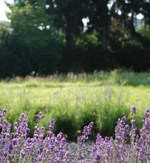 ベッドアンドブレックファースト ô Lit De L Ourthe