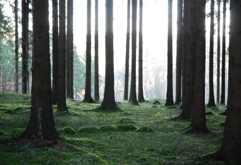 ベッドアンドブレックファースト ô Lit De L Ourthe