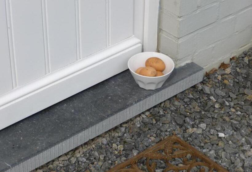 ベッドアンドブレックファースト ô Lit De L Ourthe