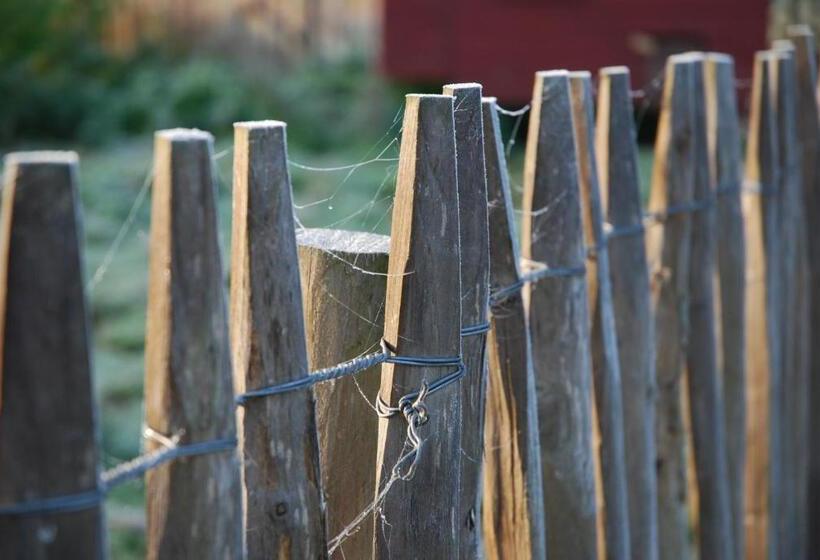 ベッドアンドブレックファースト ô Lit De L Ourthe