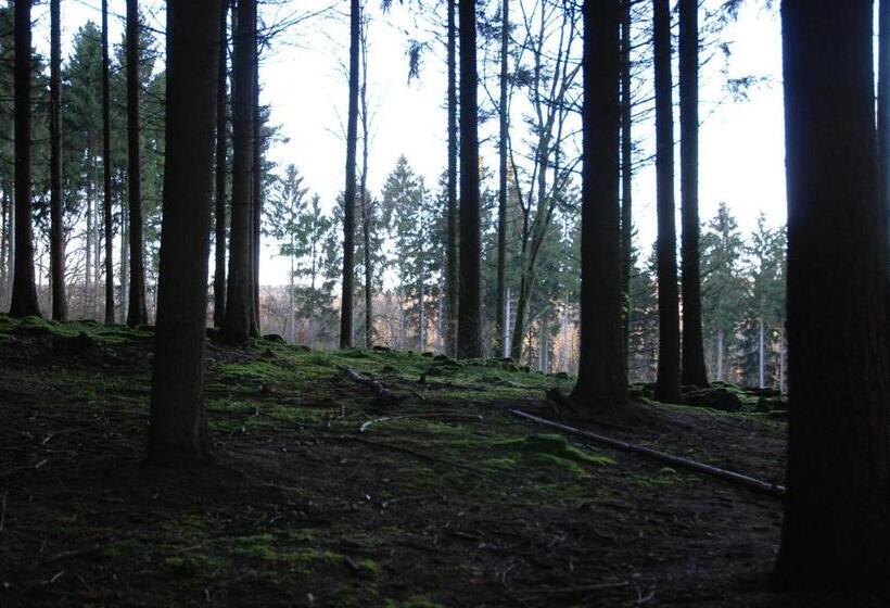 ベッドアンドブレックファースト ô Lit De L Ourthe