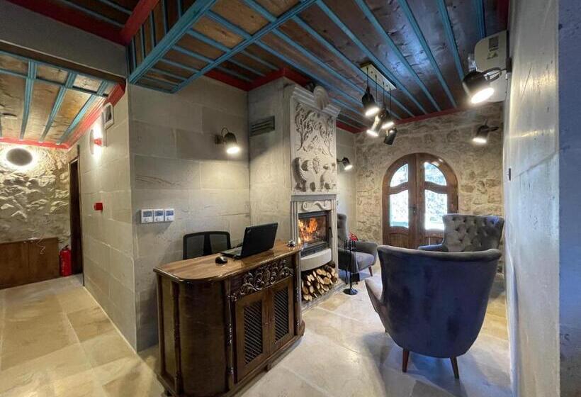 酒店 Leda Stone House