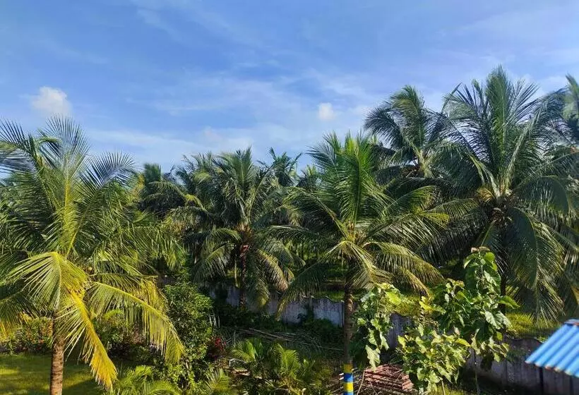 Kings Coco Resort