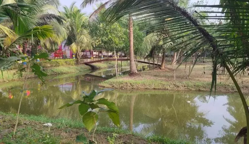 Kings Coco Resort