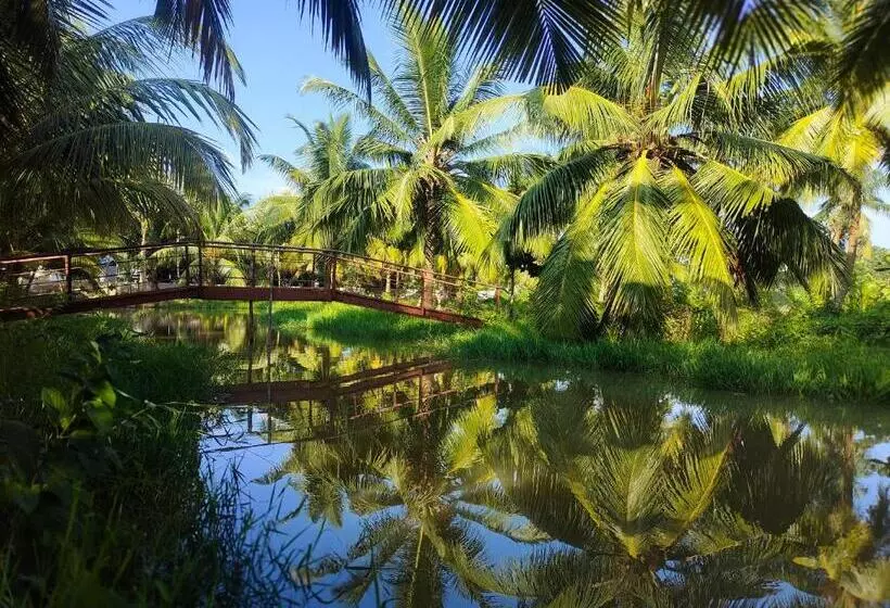Kings Coco Resort