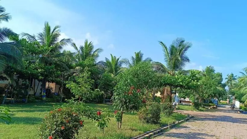 Kings Coco Resort