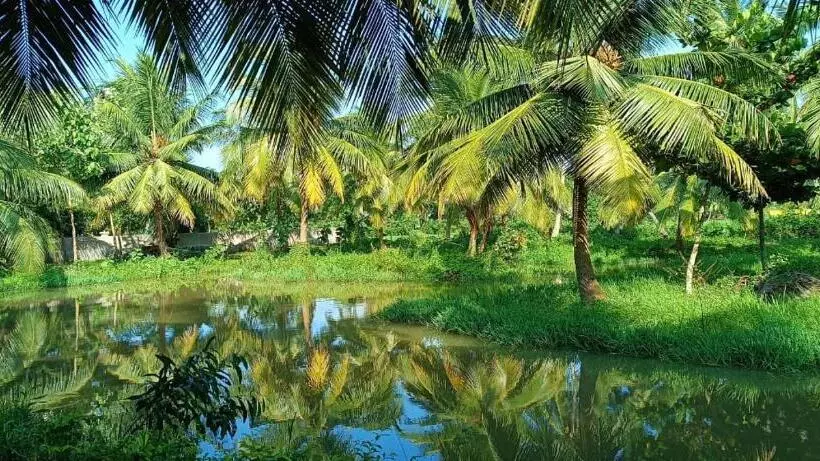 Kings Coco Resort