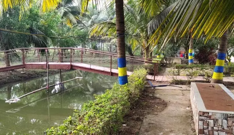 Kings Coco Resort