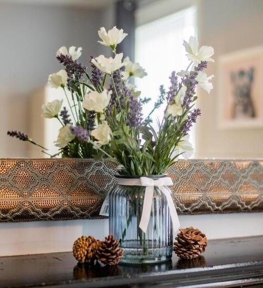 پانسیون So Fresh