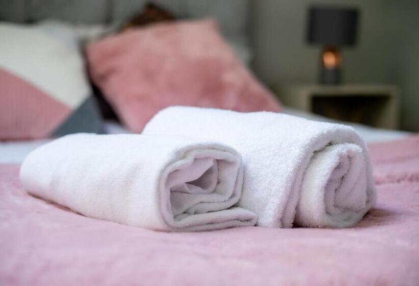 پانسیون So Fresh