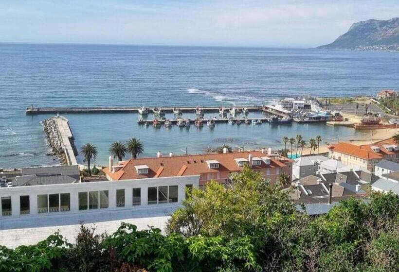 بنسيون The Dragon Tree Guesthouse