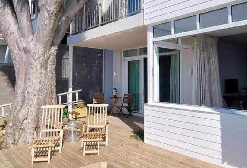 بنسيون The Dragon Tree Guesthouse