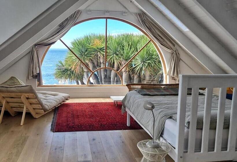 بنسيون The Dragon Tree Guesthouse