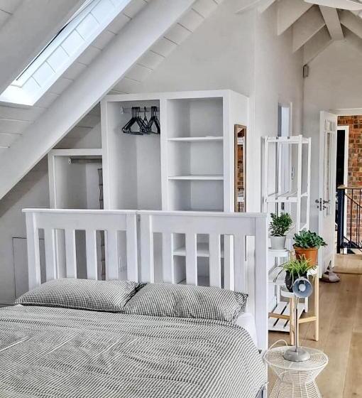 بنسيون The Dragon Tree Guesthouse