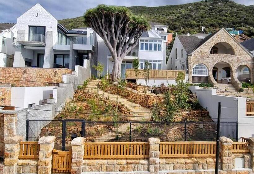 بنسيون The Dragon Tree Guesthouse