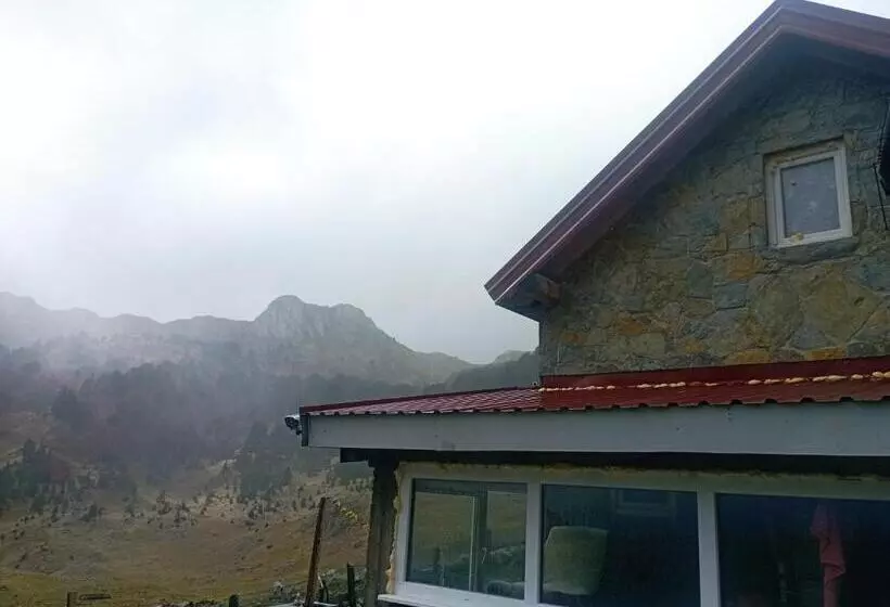 تختخواب و صبحانه Bajka Sinjavine