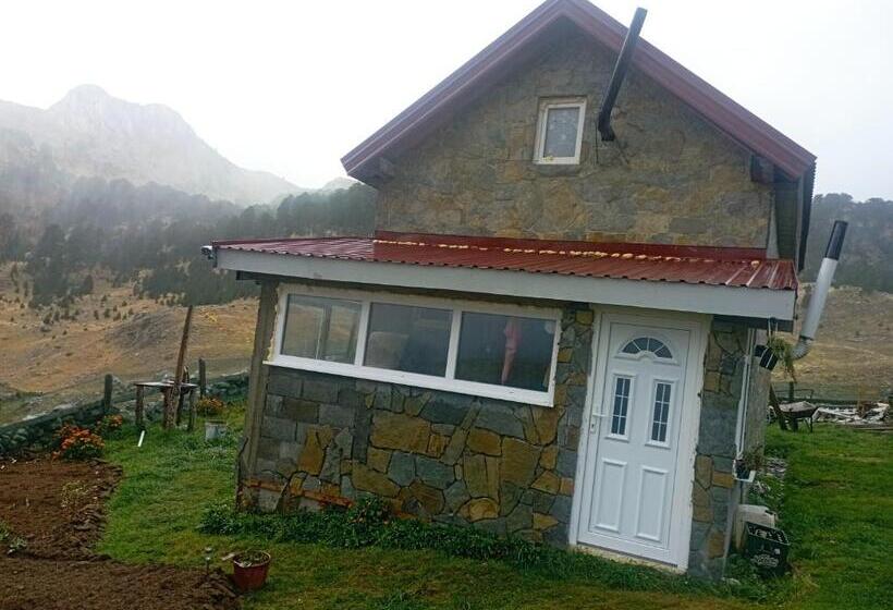 住宿加早餐 Bajka Sinjavine