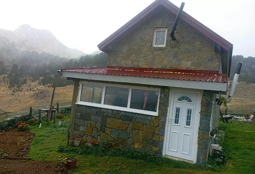 تختخواب و صبحانه Bajka Sinjavine
