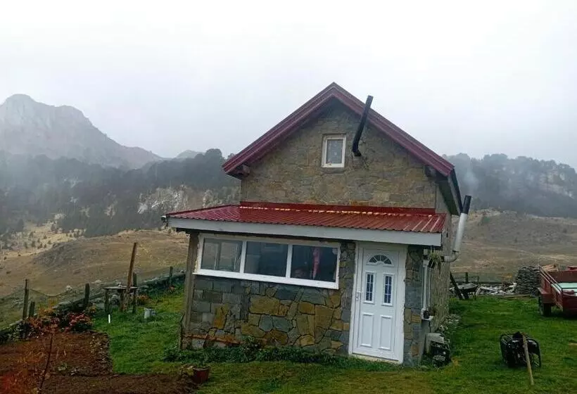 تختخواب و صبحانه Bajka Sinjavine