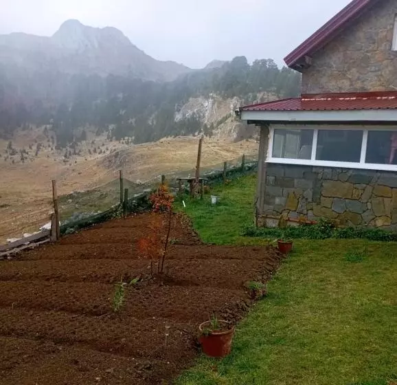 تختخواب و صبحانه Bajka Sinjavine