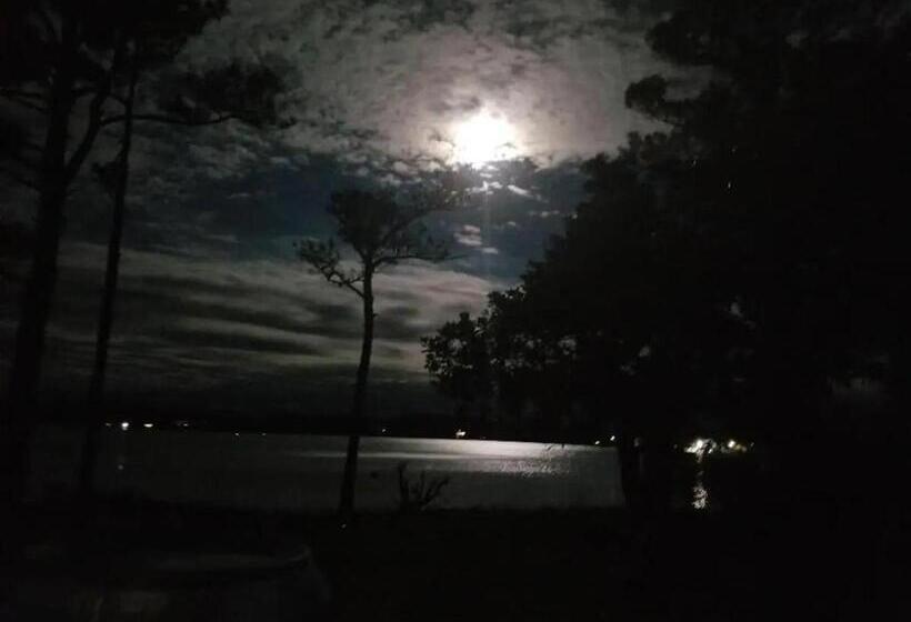 مبيت وإفطار Gloucester House