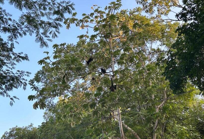 住宿加早餐 La Casa De Abu