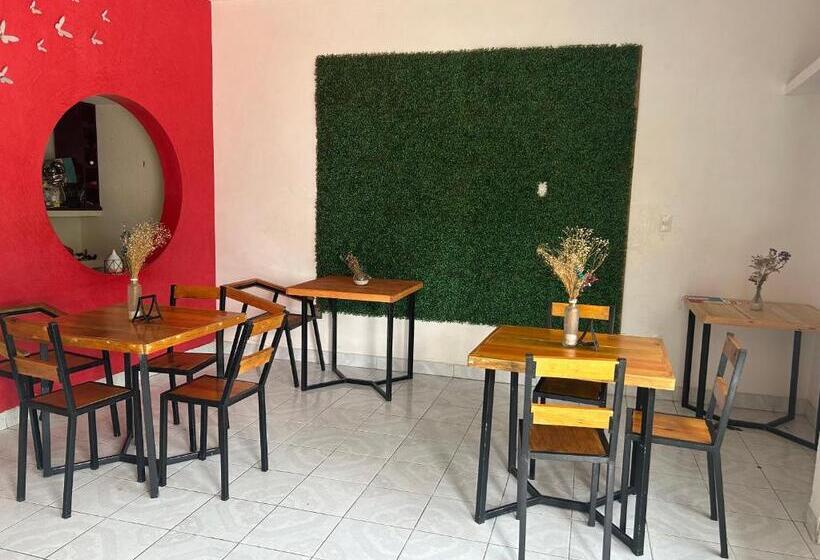 住宿加早餐 La Casa De Abu