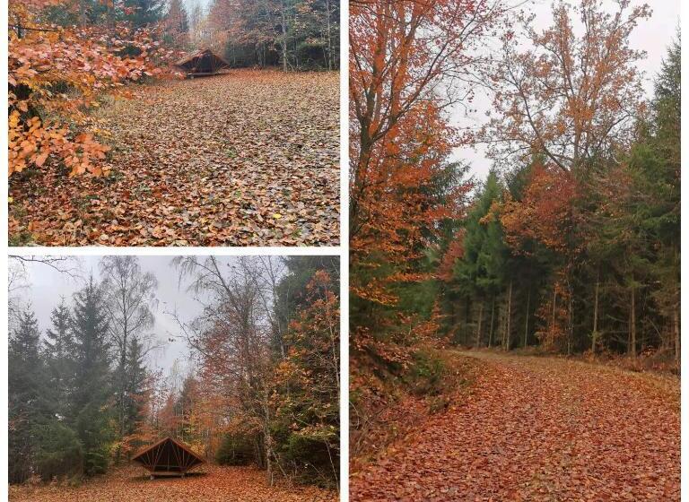 צימר Sotanäs Bed&breakfast