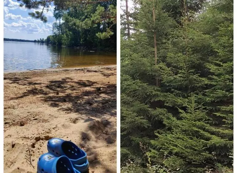 Aamiaismajoitus (B&B) Sotanäs Bed&breakfast