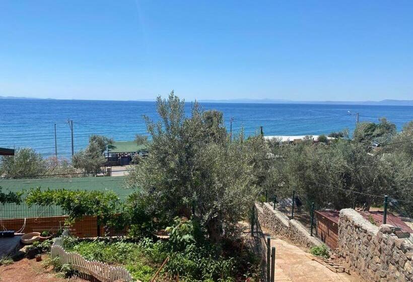 فندق Assos Green Bungalow