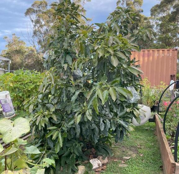 Отель Sapphire Cottage Farm Escape