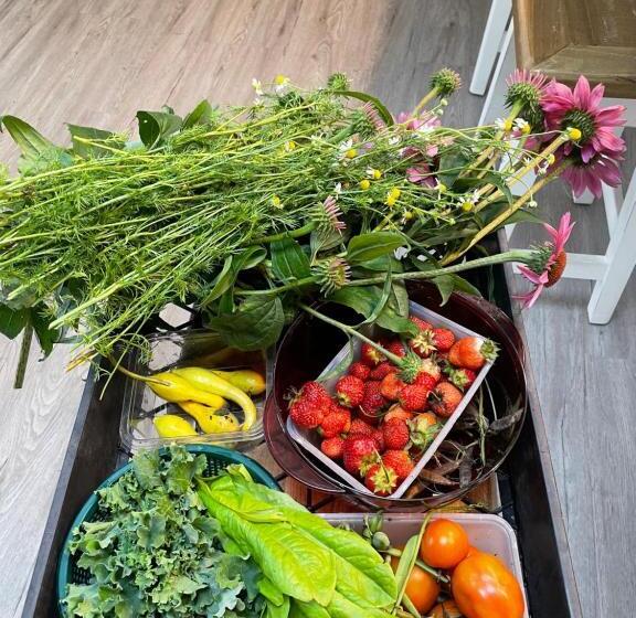 Отель Sapphire Cottage Farm Escape