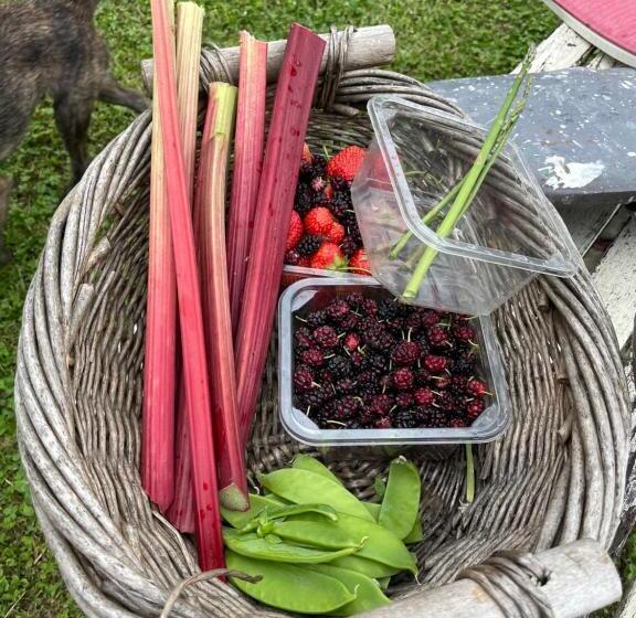 Отель Sapphire Cottage Farm Escape