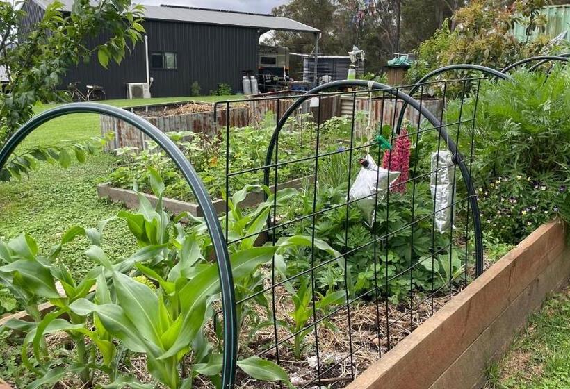 Отель Sapphire Cottage Farm Escape