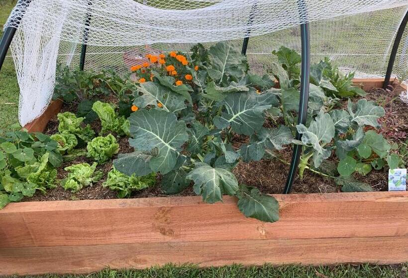 Отель Sapphire Cottage Farm Escape