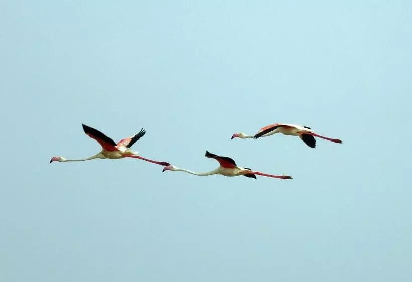 Ko Lanta Amantra Lake View Resort