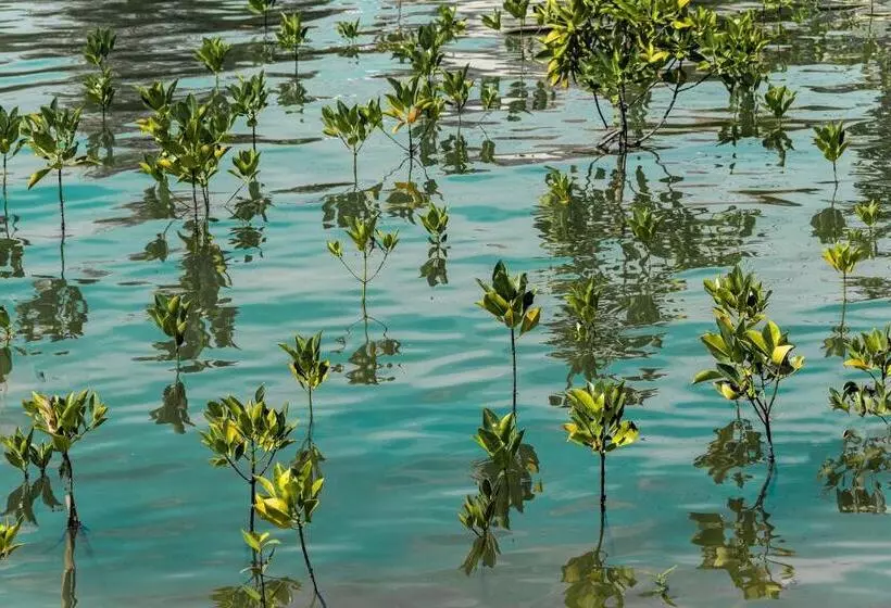 Ko Lanta Amantra Lake View Resort