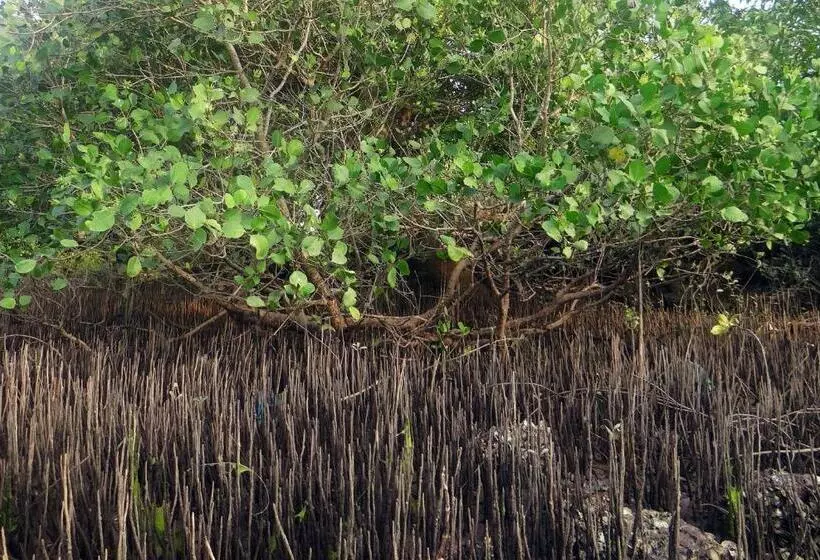 Ko Lanta Amantra Lake View Resort