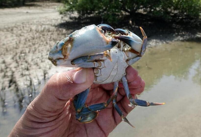 Ko Lanta Amantra Lake View Resort