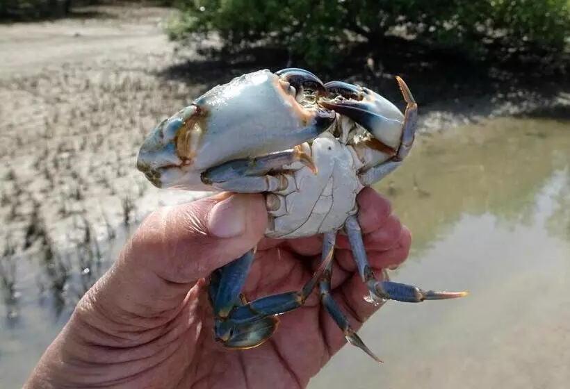 Ko Lanta Amantra Lake View Resort